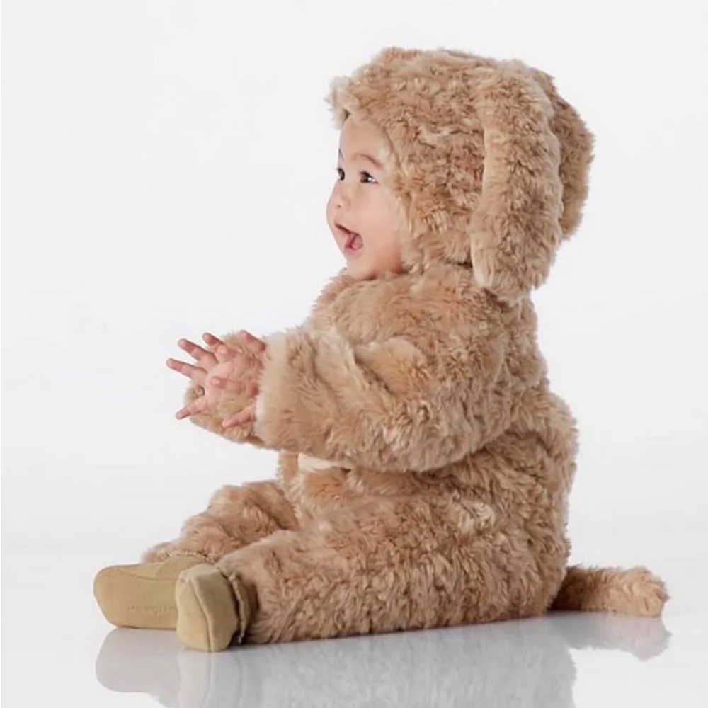 Pottery Barn Like New Baby Dog Costume